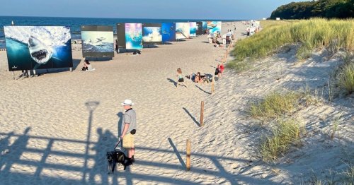 Meer, Sonne und Sandstrände im coolen Norden