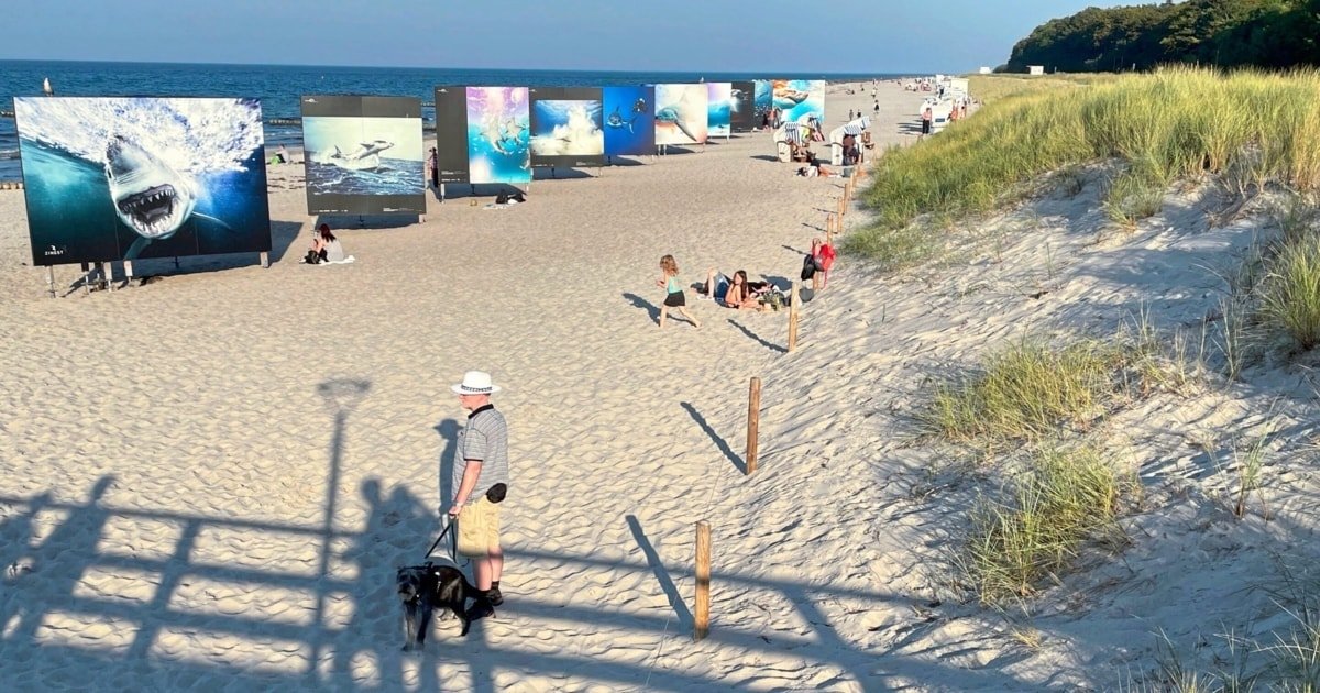 Meer, Sonne und Sandstrände im coolen Norden