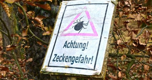Die Zecken haben ihren Winterschlaf schon beendet
