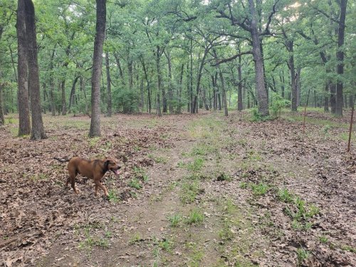 Neighboring Hunt County Receives Portion of $6.8 Million in Grants