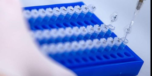 Vermeintliche Mutation: Deltakron beruht wohl auf Verunreinigung im Labor