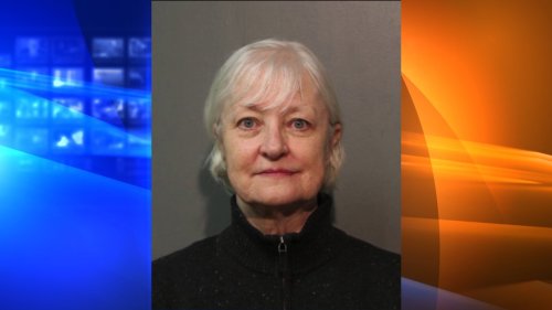 Serial Stowaway Charged After Boarding Chicago Flight Bound for London Without Ticket, Passport