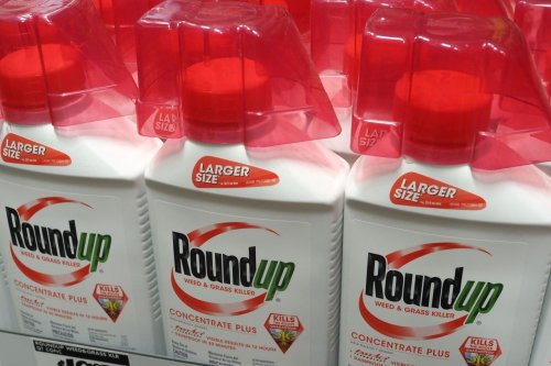 Common Weed Killer Glyphosate Increases Cancer Risk by 41%, Study Says