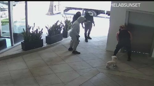 Frightening video shows L.A. gym owner fight off armed robbers