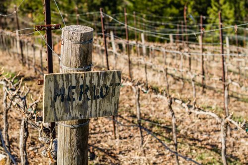 The hidden winemaking region in California’s Sierra foothills