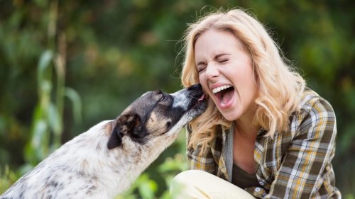 5 Gründe: Darum leckt dein Hund dich ab!