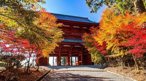 Herbstlaub in Japan – 7 Orte, an denen Japan im Herbst am schönsten ist – Kulturtänzer
