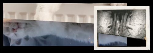 Sarah Entwistle - Die zarten Bande der Liebe sind fest geschnürt - Kunstleben Berlin - das Kunstmagazin