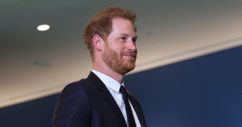 Dianas früherer Bodyguard: "Prinz Harry kommt zurück"