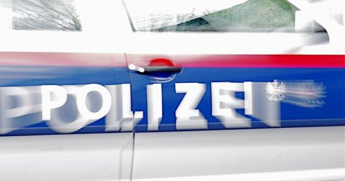 Polizisten bei Einsätzen in Wien leicht verletzt