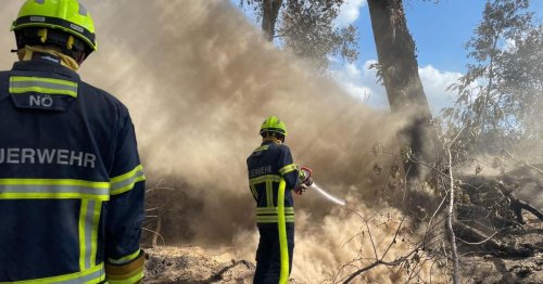 Waldbrände in Frankreich: Einsatz für Feuerwehrleute aus NÖ endet