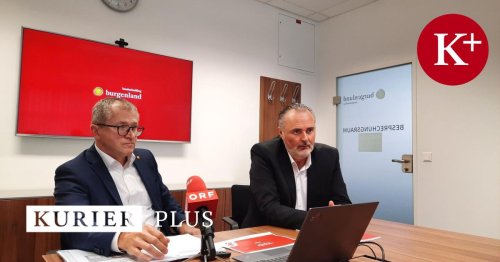 Getrübtes Verhältnis zu Doskozil? Burgenlands Landesholding-Chef vor Abgang