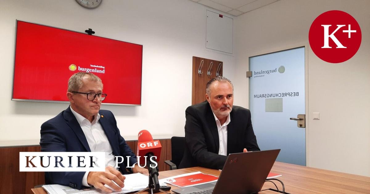 Getrübtes Verhältnis zu Doskozil? Burgenlands Landesholding-Chef vor Abgang