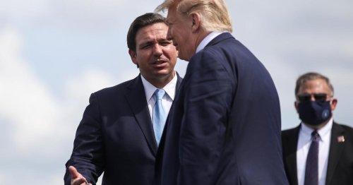 Trump bekommt von politischem Ziehsohn aus Florida Konkurrenz