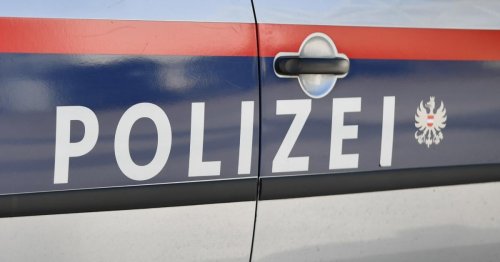 14 Betrugsfälle in Wien: Zwei Männer festgenommen