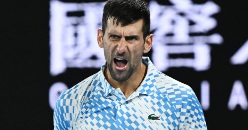 Triumph bei den Australian Open: Djokovic besiegt Tsitsipas in Melbourne