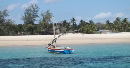 Safari und Traumstrand: Mosambiks unentdeckte Nordküste