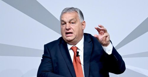 Ukraine zu ungarischem Premier: "Schlampen-Gesicht"