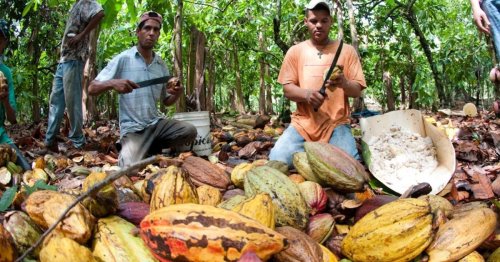 Fairtrade zwischen Inflation und künstlichen Tiefstpreisen