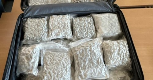 20 Kilo Cannabiskraut am Flughafen Wien sichergestellt
