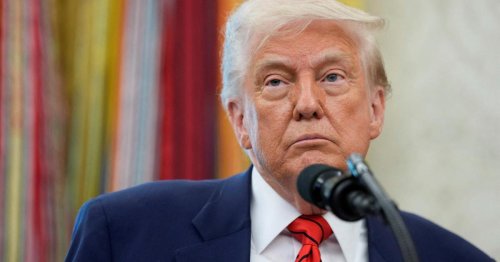 "Tribute von Panem" für Einwanderer? Trump könnte neue Reality-TV-Show fördern