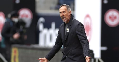 Wechsel von Hütter zu Mönchengladbach laut "Bild" fixiert