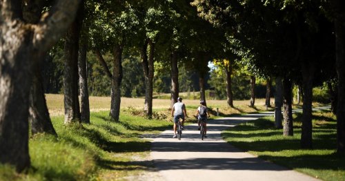 Radfahren im Waldviertel: Fünf abwechslungsreiche Ausflugsrouten