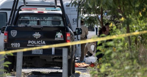 Mexiko: Zwölf zerstückelte Leichen gefunden