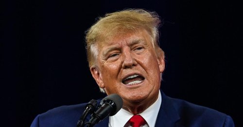 "Verrückte" in "Fantasiewelt": Trump beleidigt Ausschuss-Zeugin