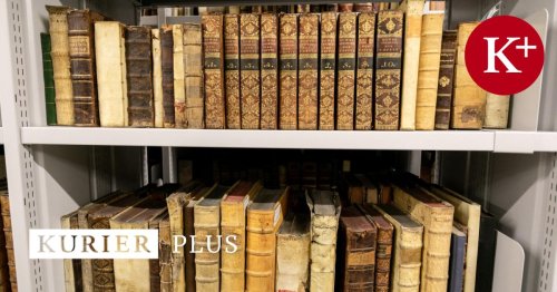 "Die große Schwachstelle von KI-Übersetzern"