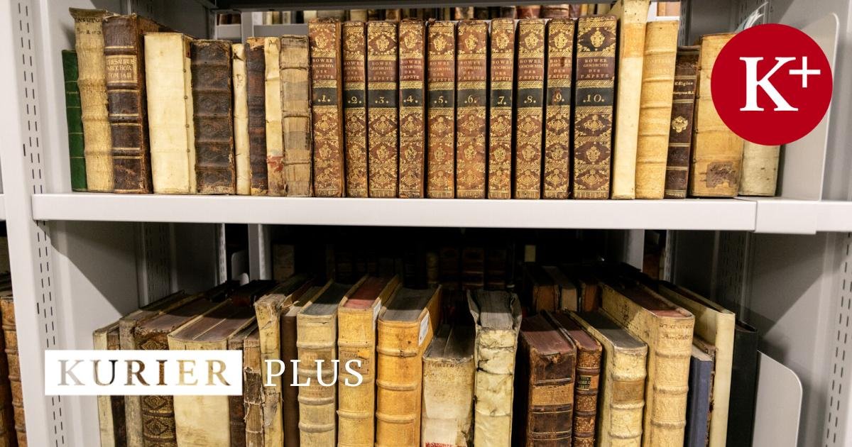 "Die große Schwachstelle von KI-Übersetzern"