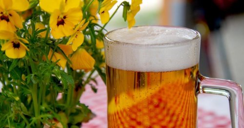 Ausgeschenkt is’: Urteil im Grazer Bierprozess gefallen