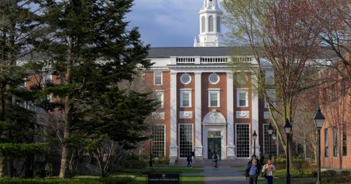 Harvard: Keine Aufnahme ausländischer Studenten - Richterin stoppt Trump