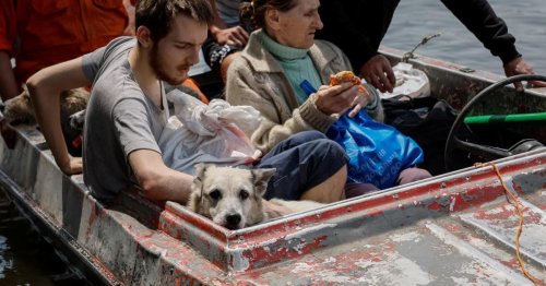 Ukraine-Flüchtlingen droht Abrutschen in Armut