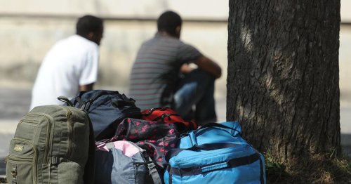 Asylwerber in Österreich: 77 Prozent kommen gemeinnütziger Arbeit nach