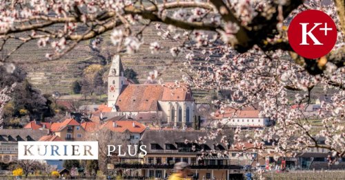 Ritt in den Frühling: Die 4 besten Fahrradtouren in Österreich