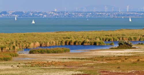 See Opening 2025: Burgenland startet mit Festival in den Sommer