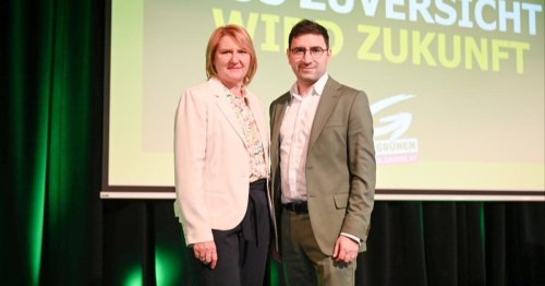Grüne NÖ: Krismer mit 80 Prozent als Landeschefin wiedergewählt