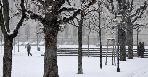Weißes Wochenende: Schneefall in ganz Österreich