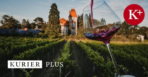 Gemeinsame Vermarktung: Gütesiegel für Thermenregion-Weine
