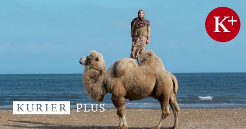 Warum Kamele die Kulturgeschichte vorantreiben