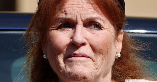 Sarah Ferguson: Verstorbene Queen spricht durch ihre Corgis mit mir