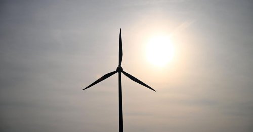 OÖ: Volksbefragung zu Windpark im Mühlviertel am 1. Juni