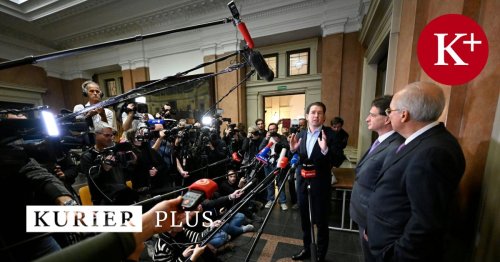 Falschaussage-Prozess: Nächste Etappe in der Berufung von Ex-Kanzler Kurz