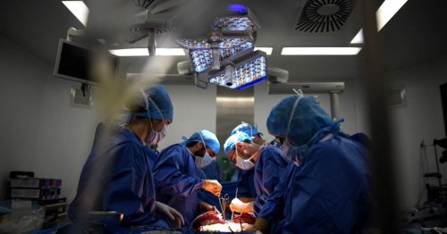 Organtransplantation: Warum ist Spanien der Spitzenreiter?