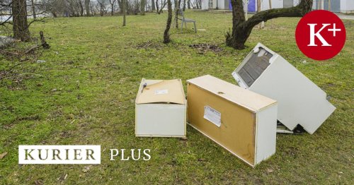 Müll und Lärm: Wiener Neustadt schickt Sicherheitsdienst auf Patrouille