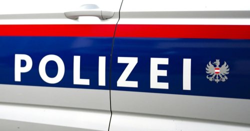 Diebstahlsopfer und Freundin verprügelten Frau in Linzer Volksgarten
