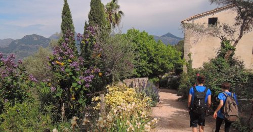 Balearen-Report: Mallorca – die vielfältige Insel