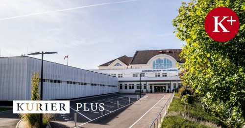 Spitalsreform in NÖ: SPÖ-Protest gegen Schließungen in Hollabrunn