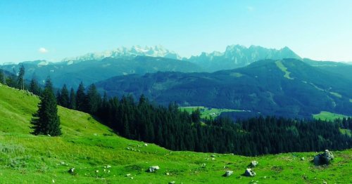Dramatischer Unfall: Chinese überlebt 35-Meter-Sturz in Schlucht
